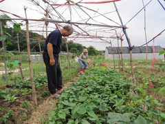 中和地區農會-灰磘有機市民農園「快樂城市農夫耕作紀實」