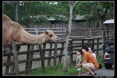 花蓮新光兆豐農場門票優惠出售