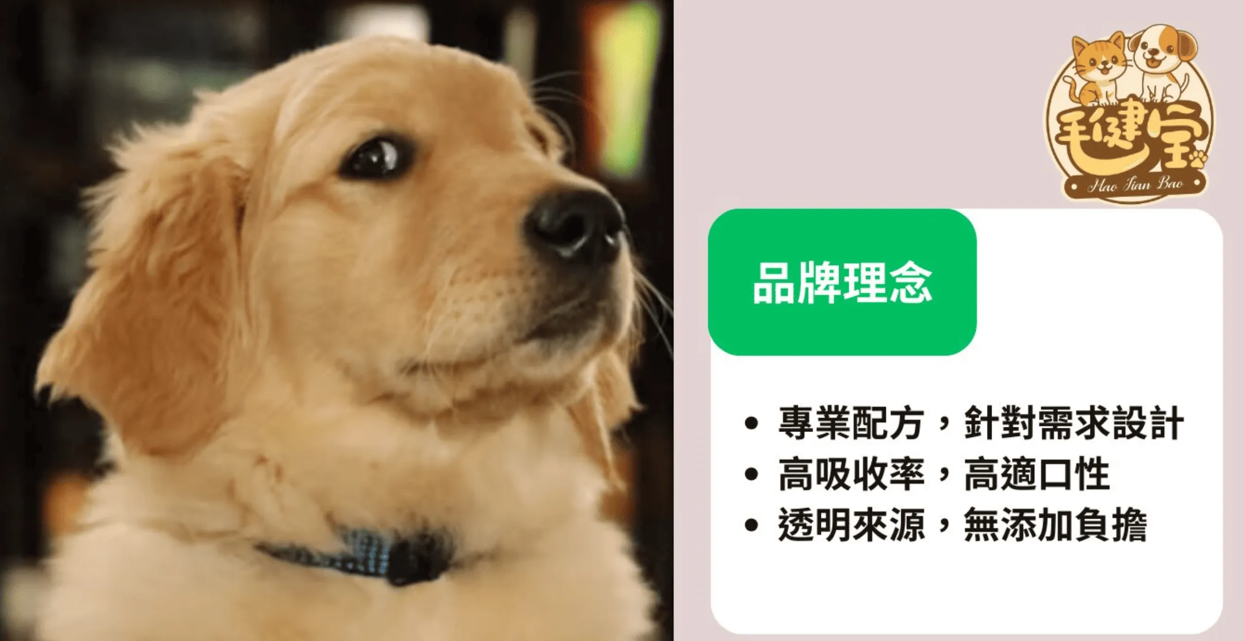 //s.web66.com.tw/_file/C19/197046/piclist/pic1.png