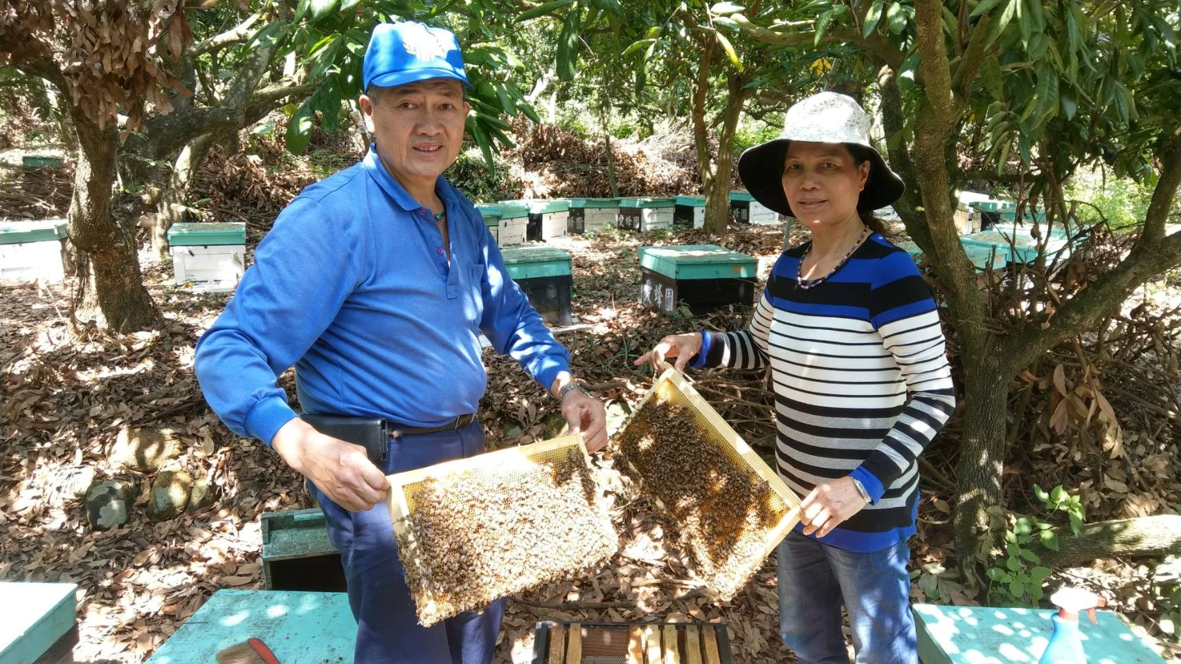 關於愛蜂園1