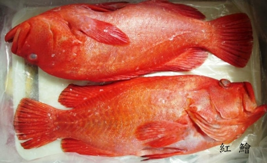 海鮮小常識－如何選購海鮮