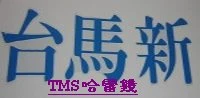 台馬新【TMS】後照鏡科技公司圖1