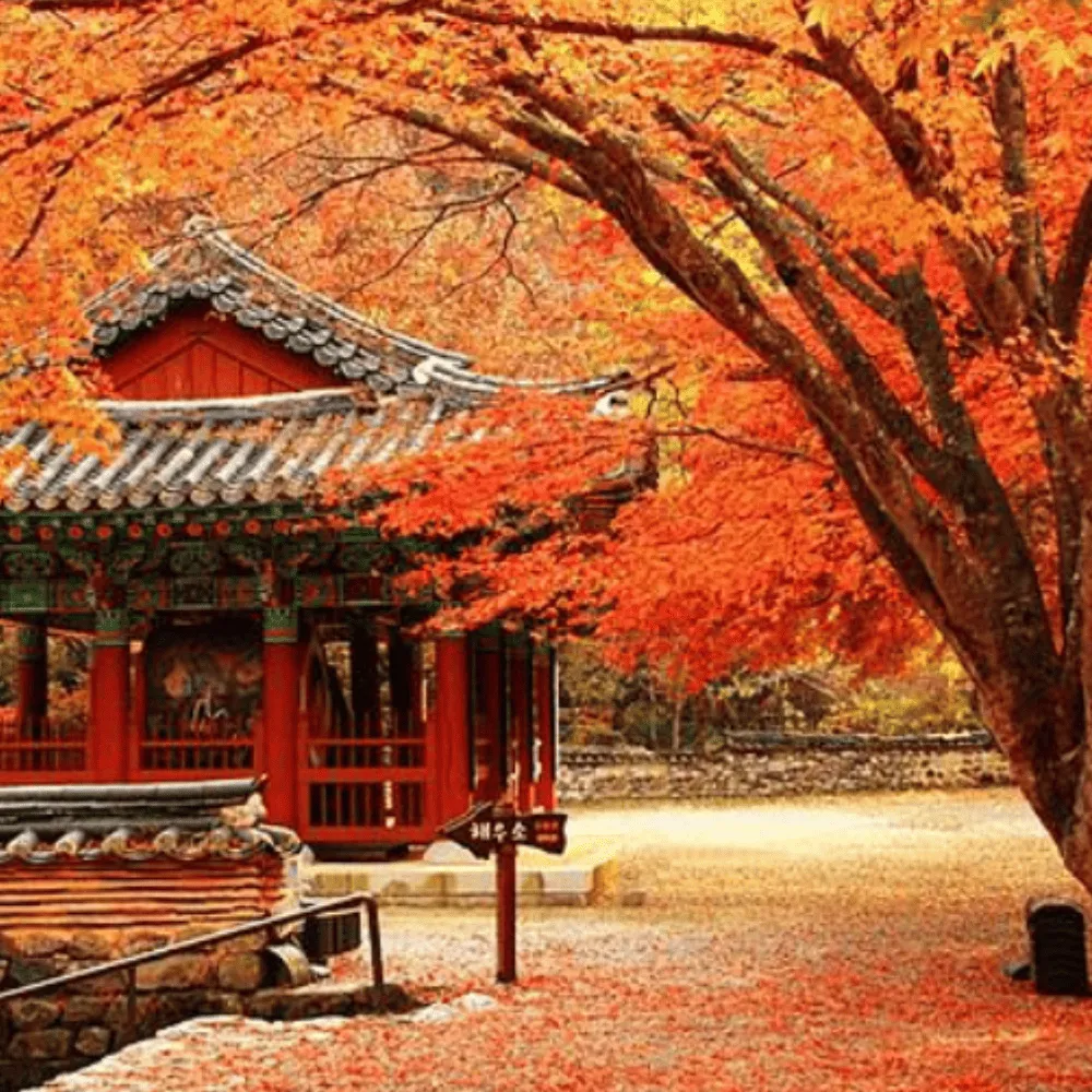 天擎旅行社股份有限公司圖2