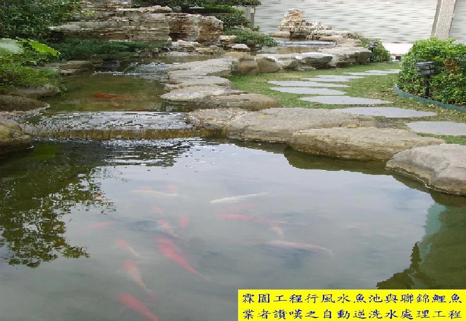 霖園工程行(風水魚池景觀.泳池.自動灑水)圖3