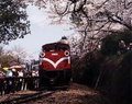 阿里山鐵道旅遊網