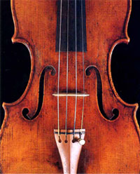 提琴專賣-音樂家樂器有限公司(信義店)