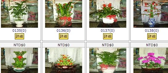 關於新竹花樁4