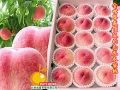 台灣瑞豐果物有限公司