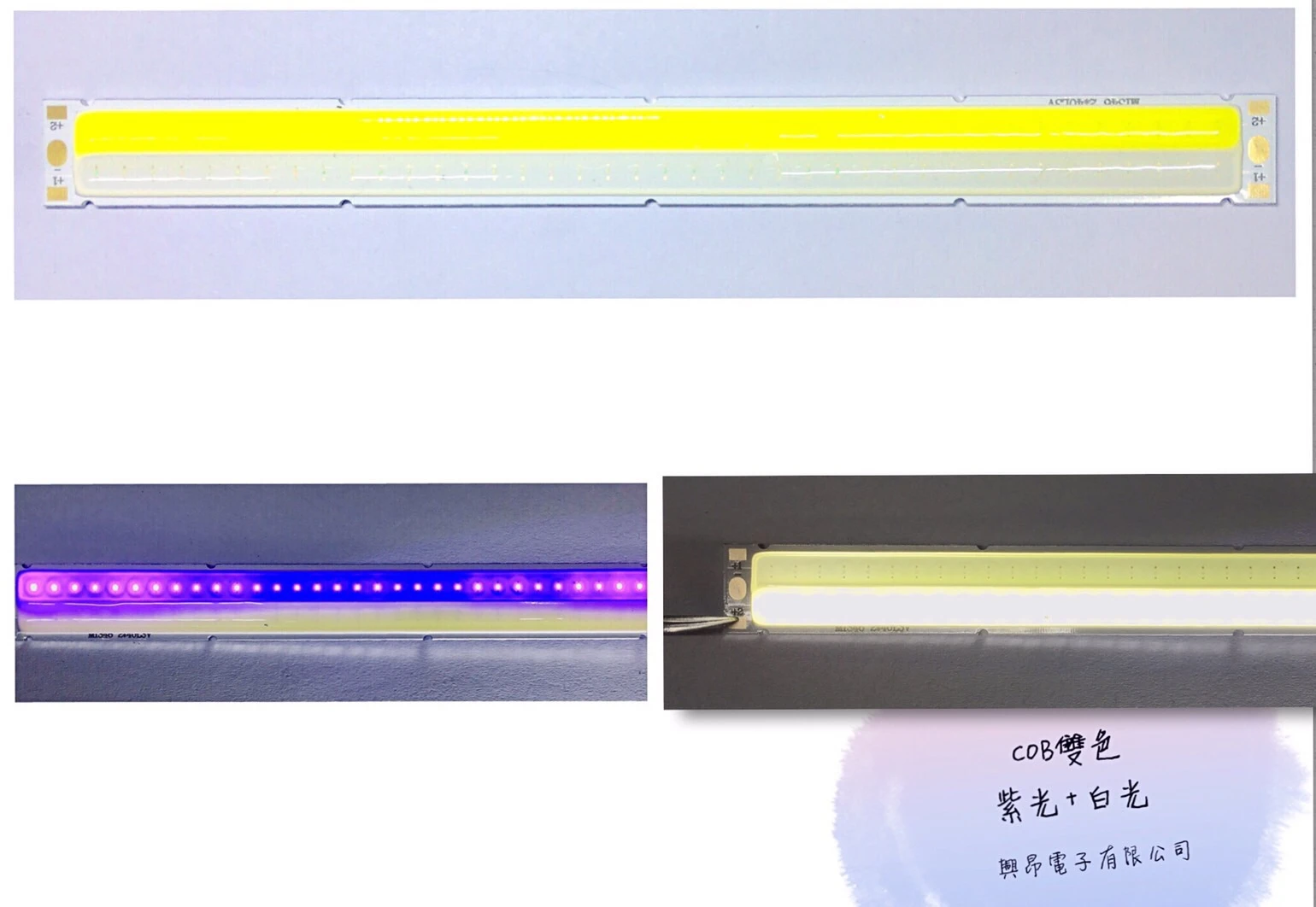 OEM&ODM&COB&LED&加工&連工帶料專家圖2