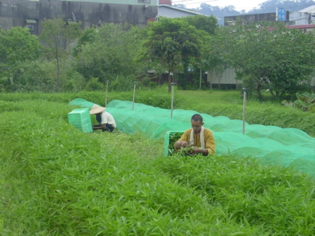 財團法人臺北縣私立秀旺社會福利慈善基金會圖4