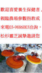 關於竹林興業2