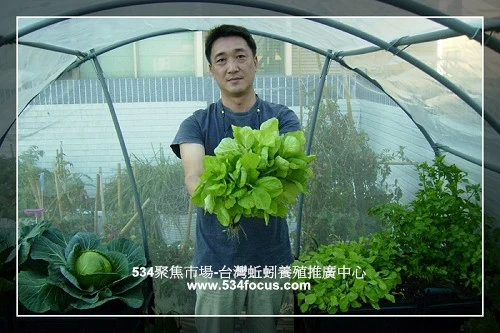 534聚焦行銷有限公司-台灣城市空中菜園推廣中心圖2