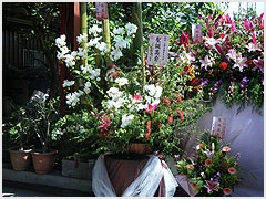 關於萌の花店3