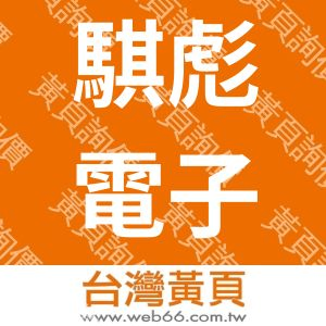 騏彪電子股份有限公司