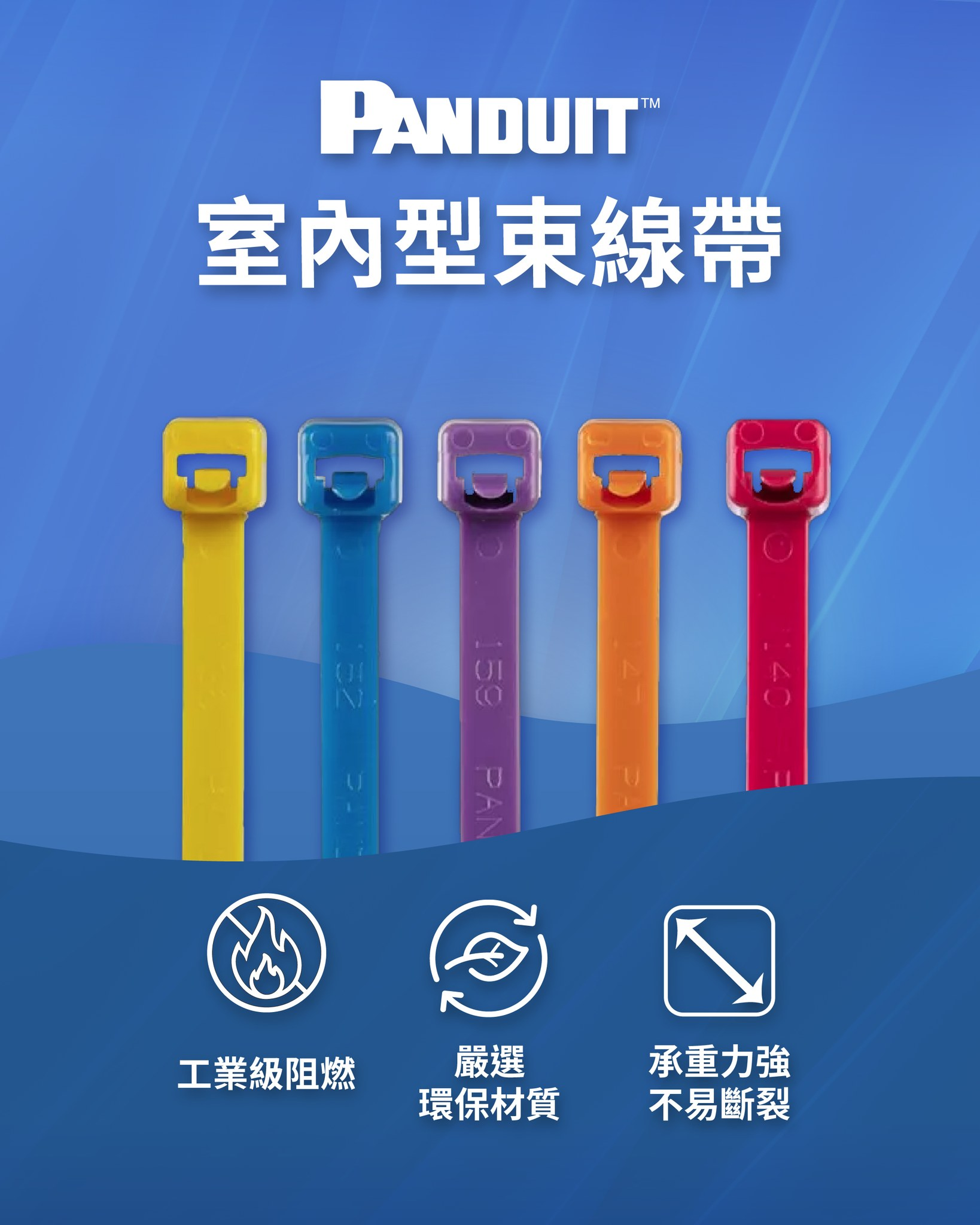 關於賀琪公司3