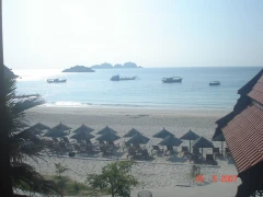 美麗熱浪島