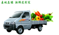 生鮮蔬果批發、蔬果批發配送、台中蔬果宅配、台中蔬果供應商