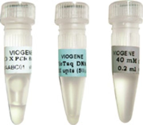 PCR 聚合酶試劑組