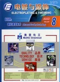 電鍍與塗飾雜誌-第28卷第8期