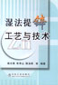 濕法提鋅工藝與技術