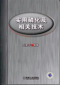 實用磷化及相關技術
