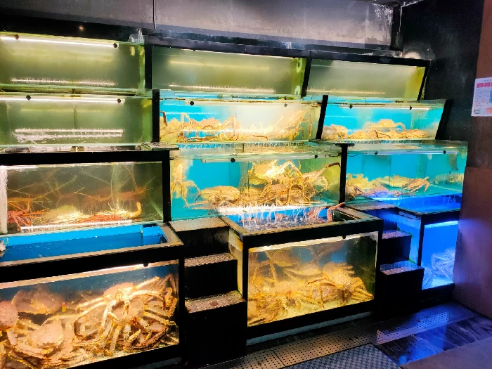 龍泰水族工程有限公司圖4