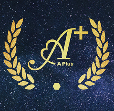 環貫綠佳利-APlus系統圖1