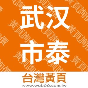 武汉市泰丰电子电器有限公司