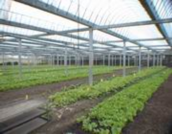 綠色＆健康元素