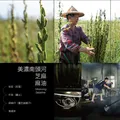 南頭河企業社