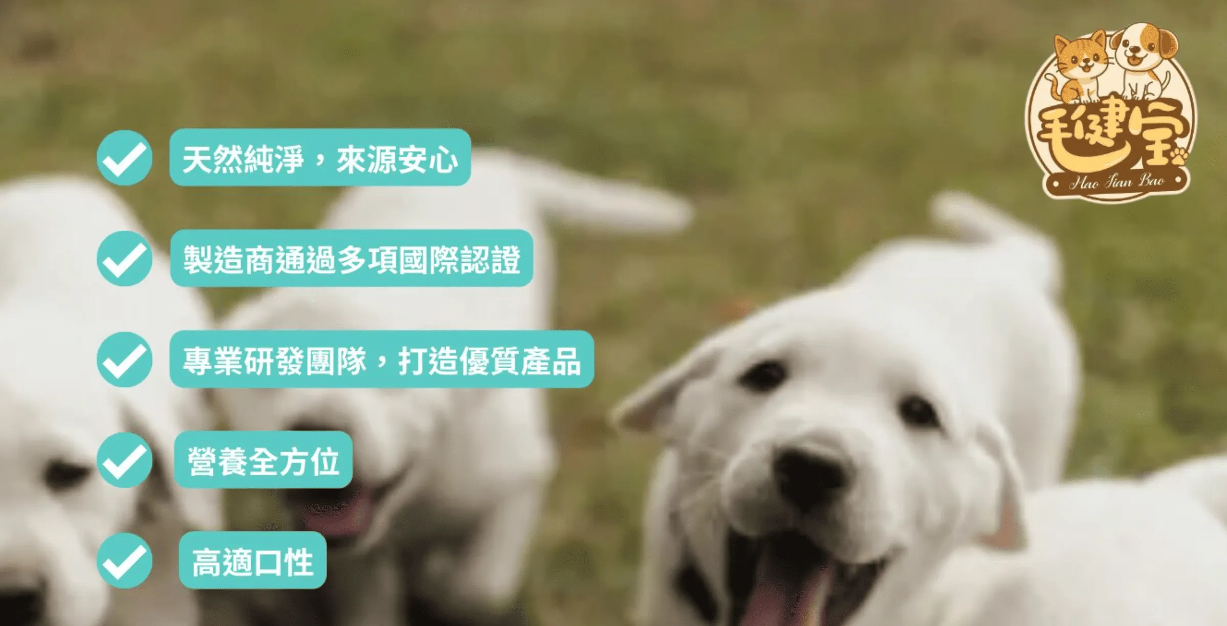 關於黃金螺旋2