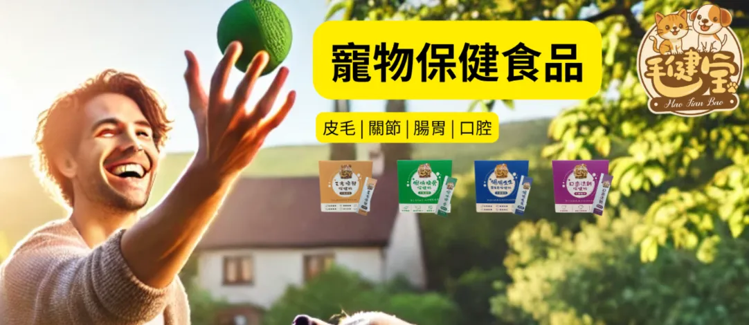 關於黃金螺旋3