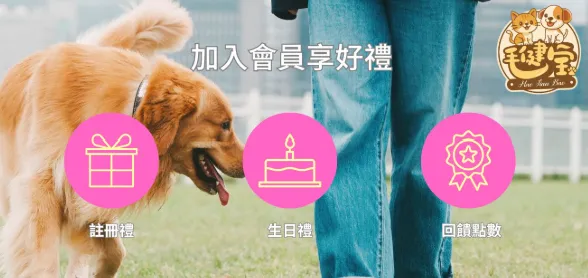 關於黃金螺旋4
