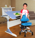 成長椅,人體工學椅,網椅,兒童書桌,Ergohuman,電腦桌-第一博士
