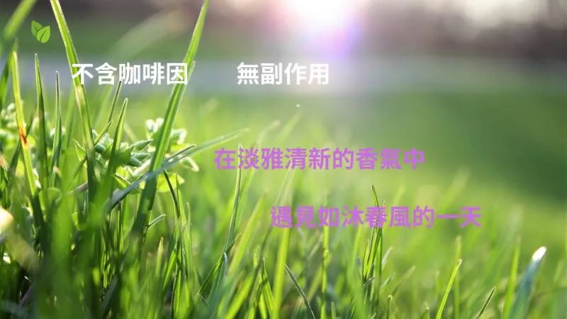 梅麗莎貿易商號