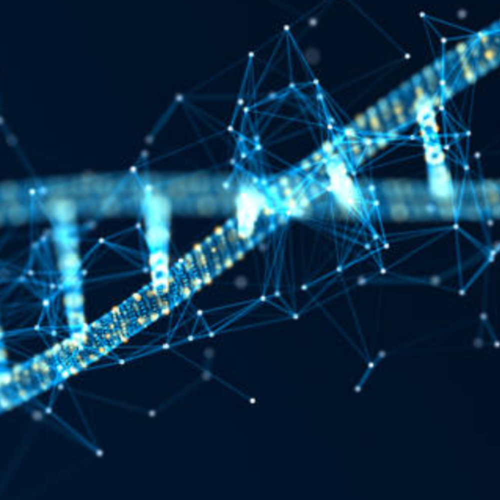 台灣諾恩美生技股份有限公司