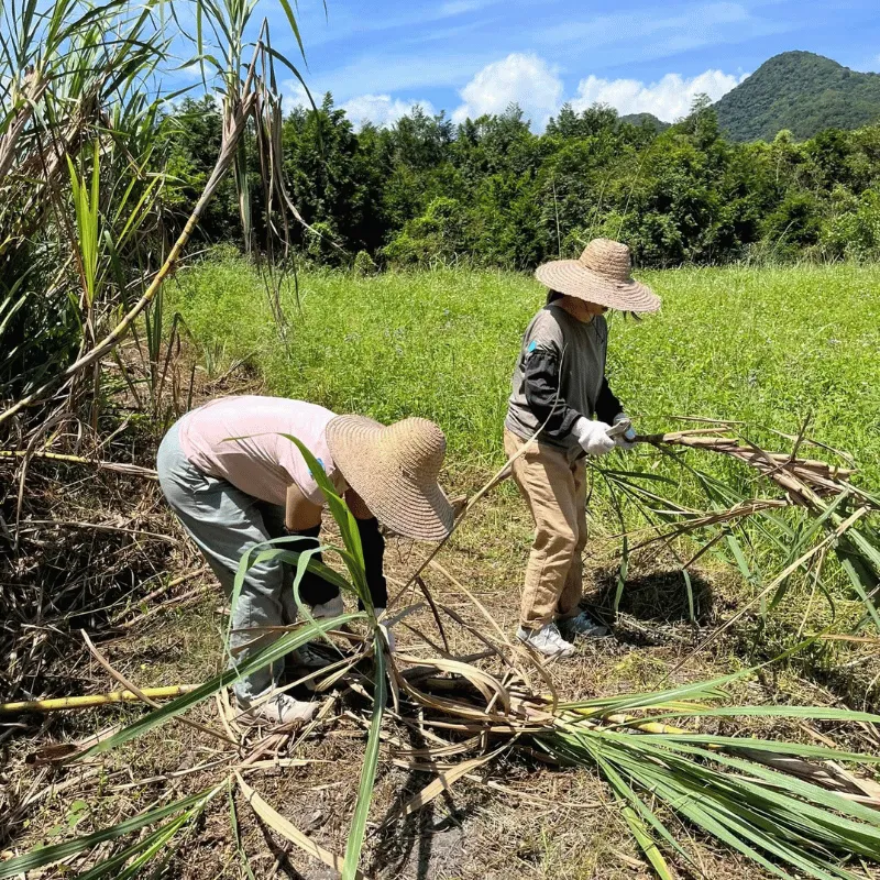 吃好的友善大地有限公司