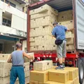 新吉田行銷企業有限公司