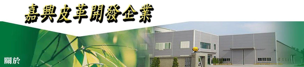 嘉興皮革開發企業圖2