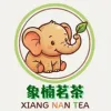 象楠國際有限公司Logo