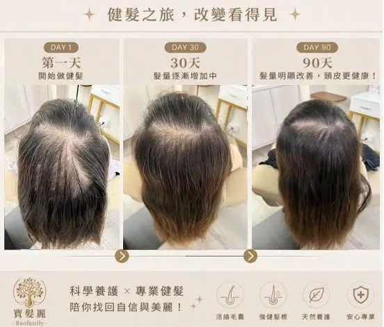 寶絲麗有限公司