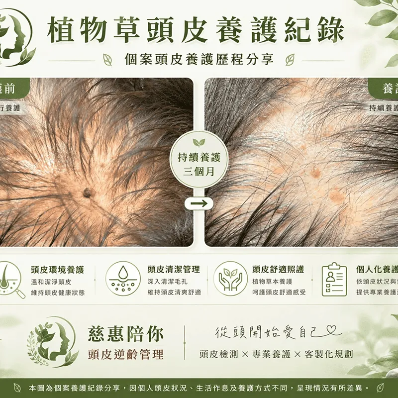 關於渲菲3