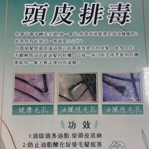 掌握正確保養觀念，從根本恢復頭皮健康