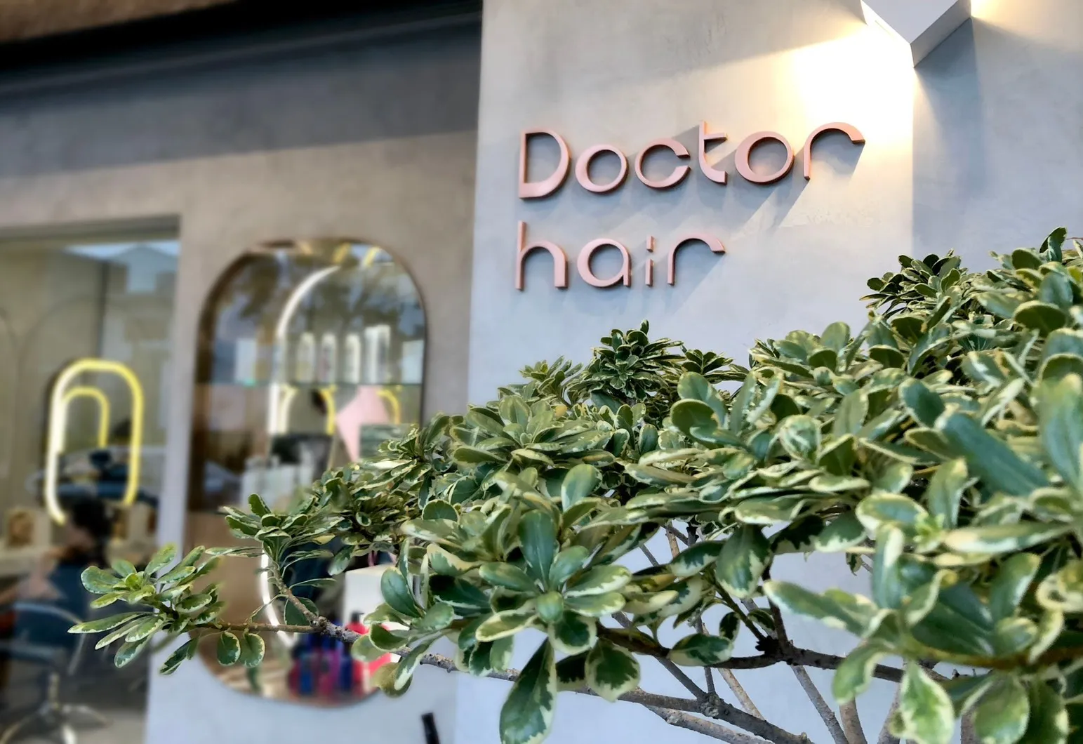 豚將拉麵麥寮店