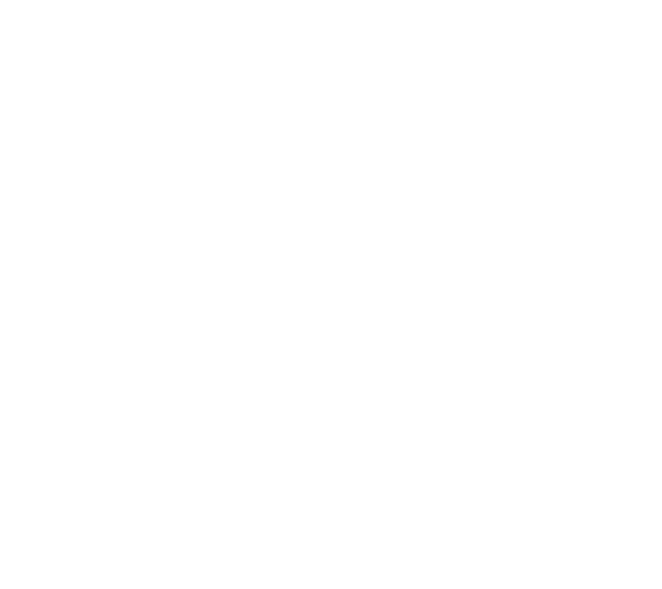 錞錚國際貿易有限公司Logo