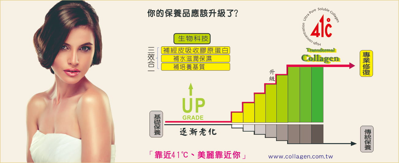 41℃可溶性膠原蛋白珩陞行生物科技股份有限公司圖2