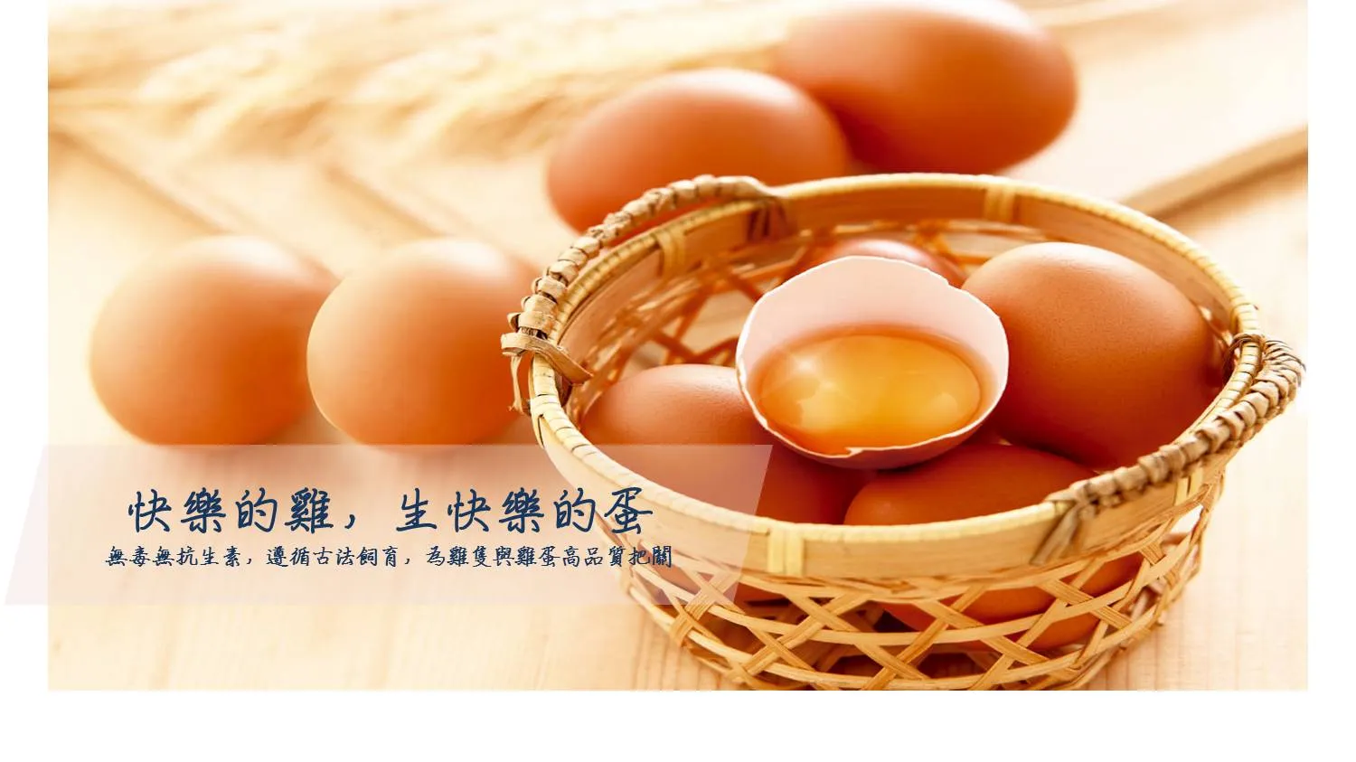 banner1圖檔