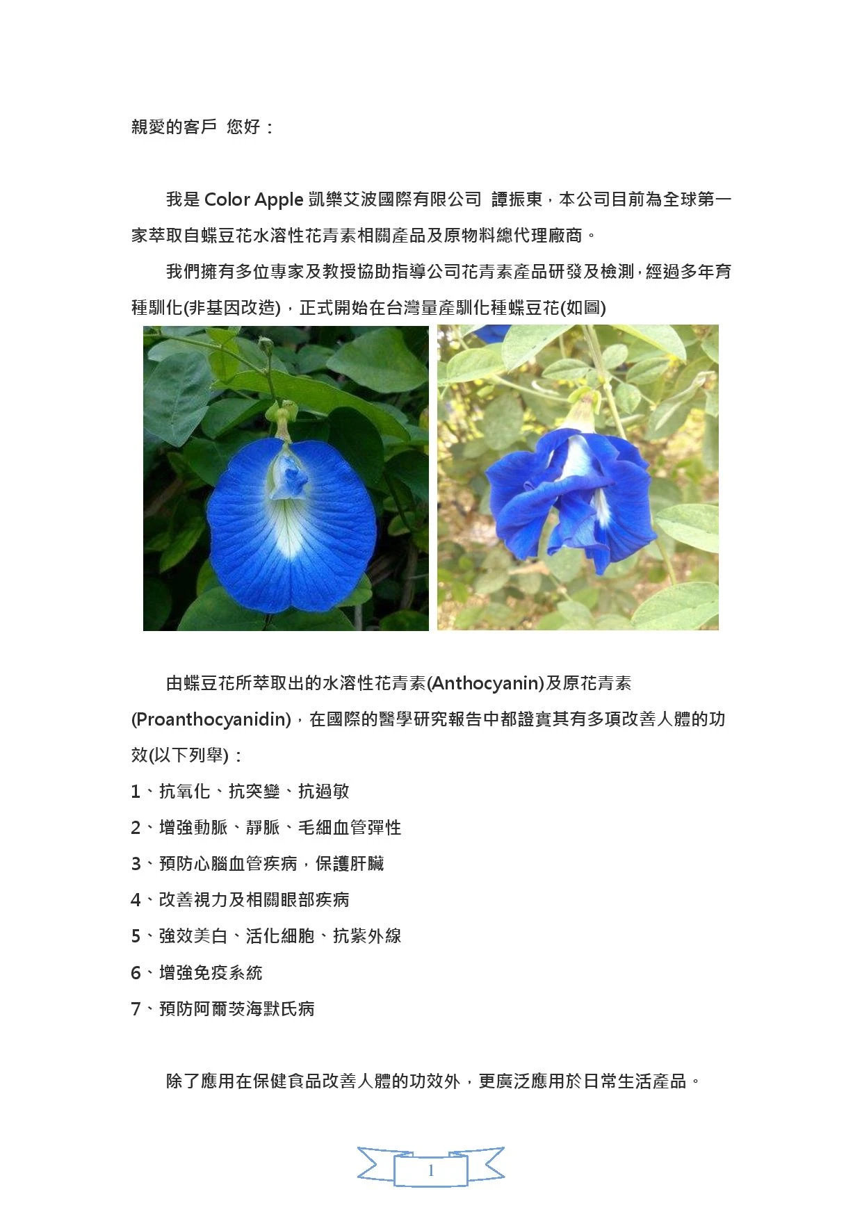 ColorApple凱樂艾波國際有限公司圖1