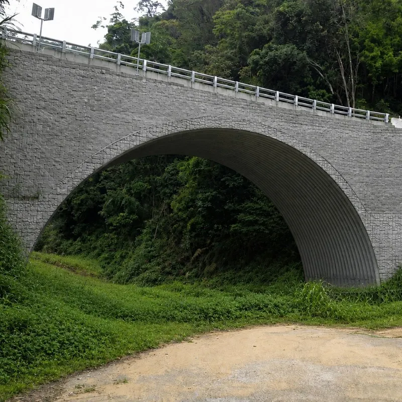 震偉股份有限公司圖4