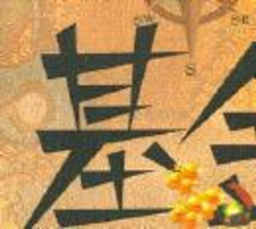 展佑國際理財策略股份有限公司